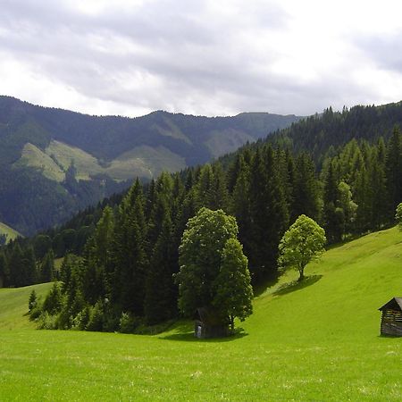 Kirchenbichlerhof Villa Pruggern Ngoại thất bức ảnh